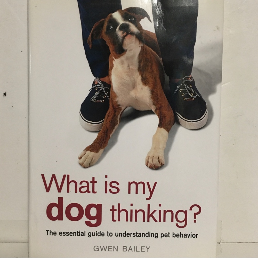 Book What is my dog thinking? The essential guide to pet behavior Gwen B…